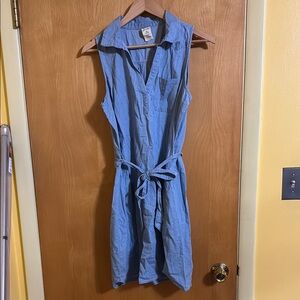 Blue Sleeveless Dress